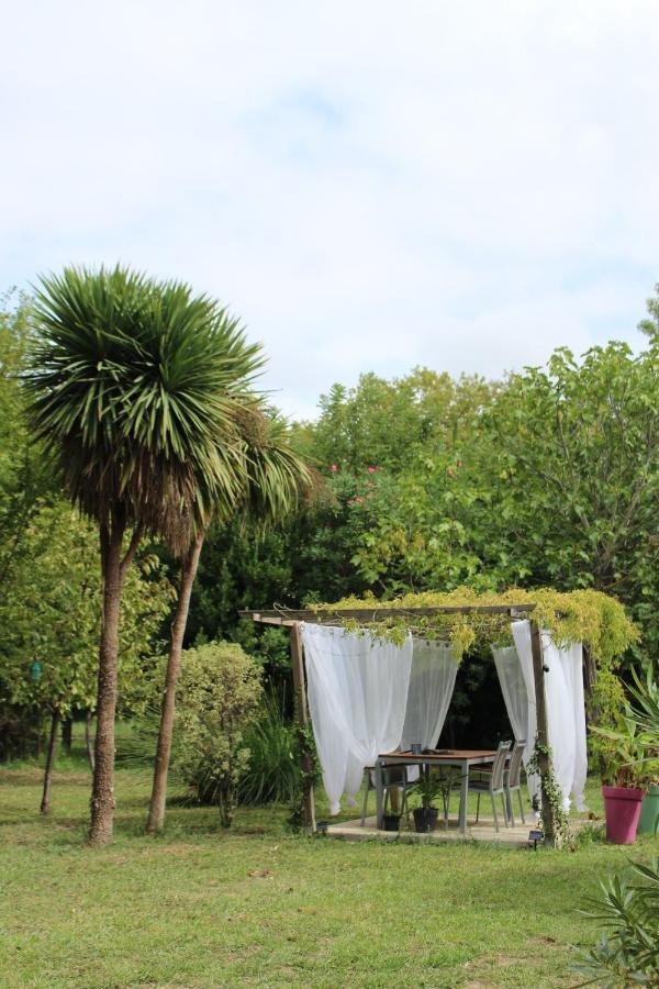 Canet Domaine D'Ella Jourreアパートメント エクステリア 写真