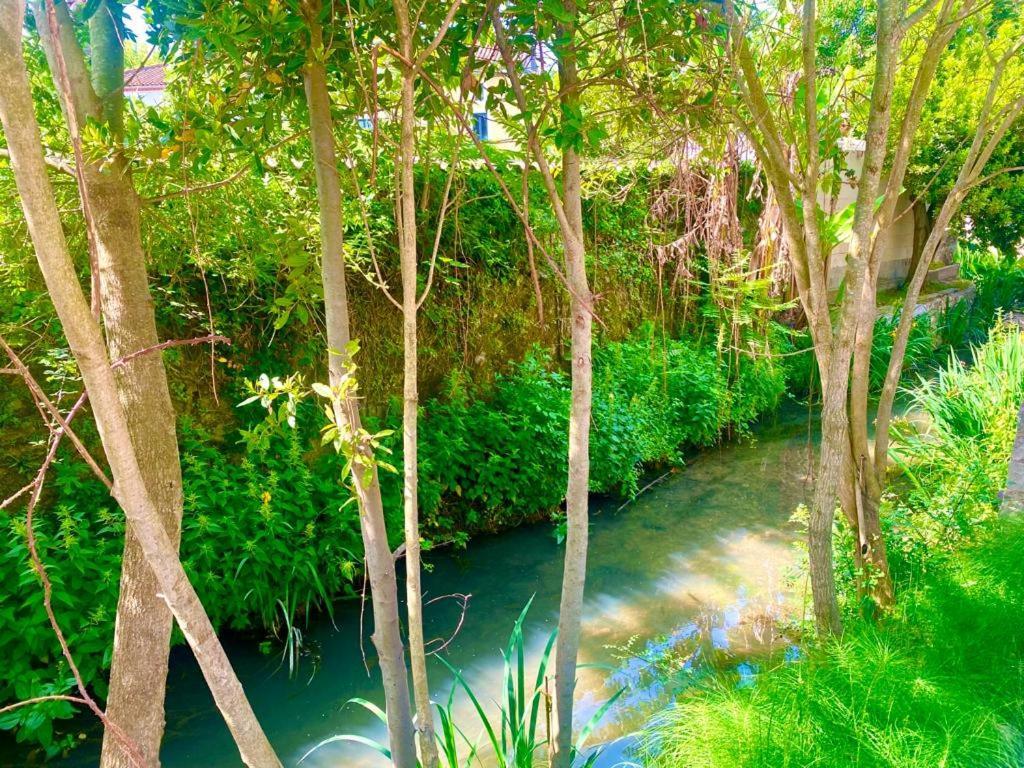 Canet Domaine D'Ella Jourreアパートメント エクステリア 写真