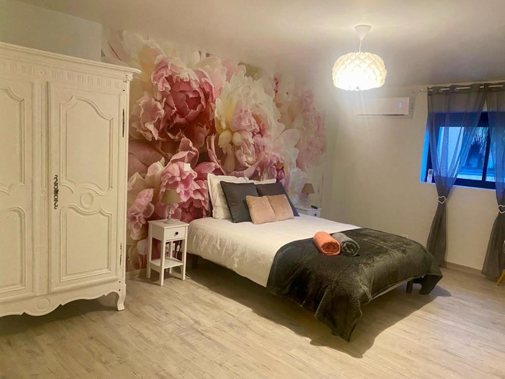 Canet Domaine D'Ella Jourreアパートメント エクステリア 写真